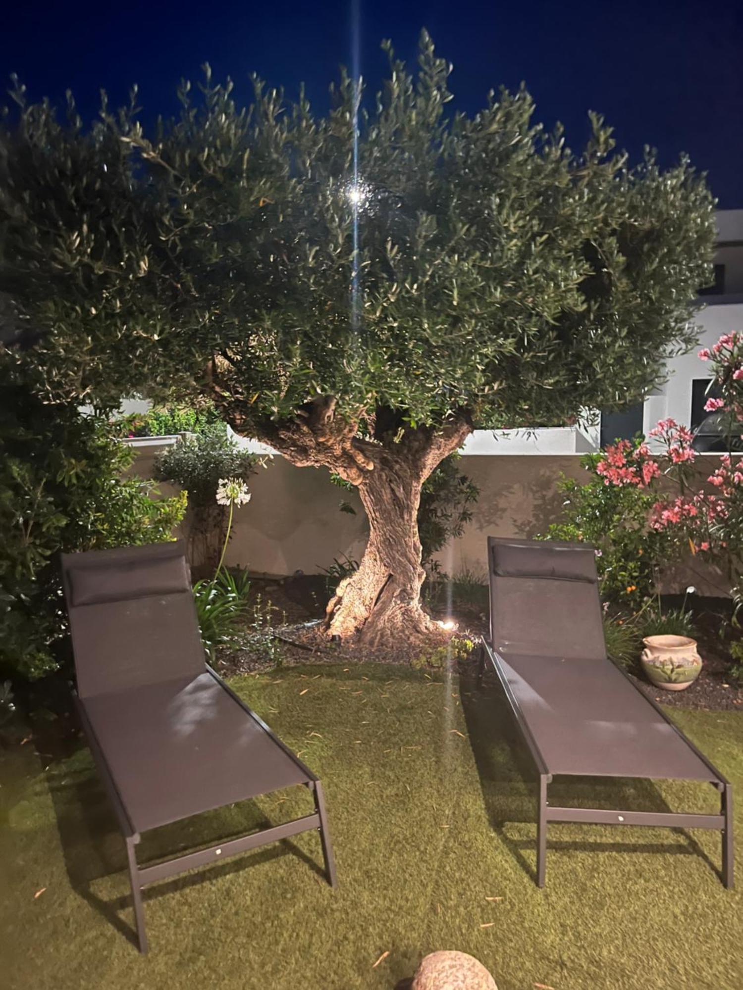 Villa Dolce Vida Proche Golf, Lac, Plage Et Collioure Villeneuve-de-la-Raho Eksteriør bilde